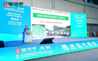 找西南AI营销代理别光看报价！2026年成都重庆老板踩过的坑，你还要再踩一遍？